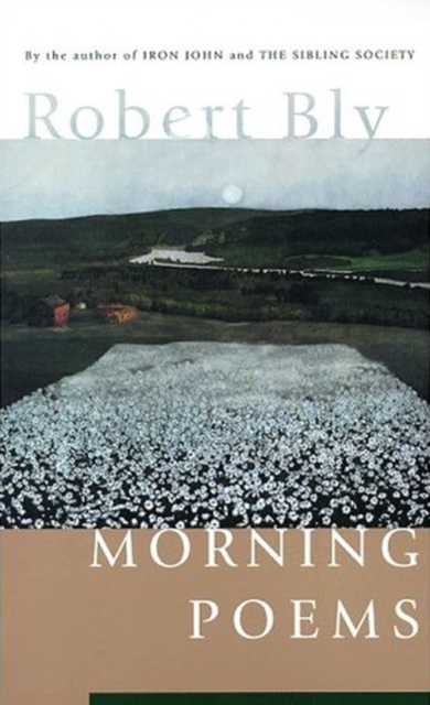 Morning Poems