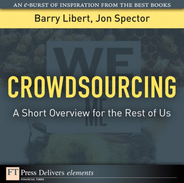 Crowdsourcing : A Short Overview for the Rest of Us
