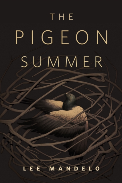 Pigeon Summer