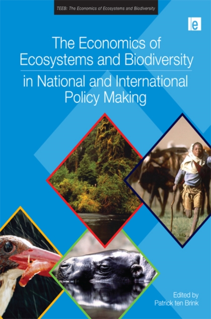 Economics of Ecosystems and Biodiversity in National and International Policy Making