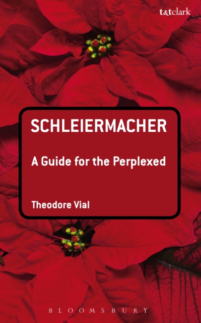 Schleiermacher: A Guide for the Perplexed