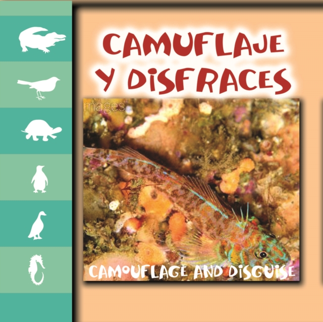 Camuflaje y disfraz