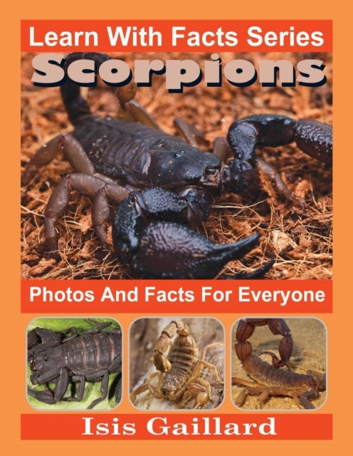 Scorpions Photos and Facts for Everyone