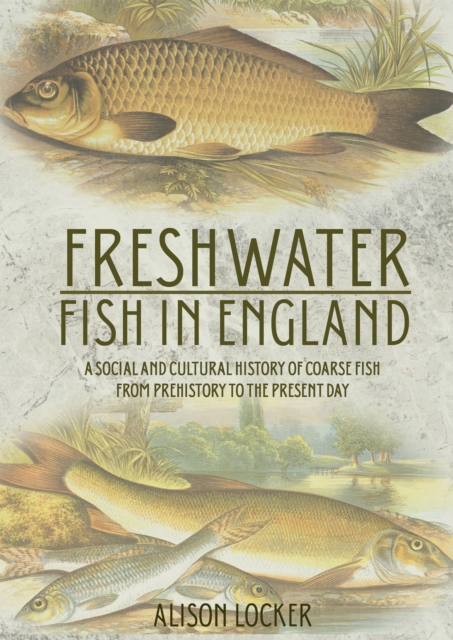 Freshwater Fish in England