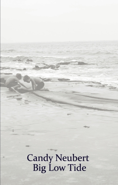 Big Low Tide