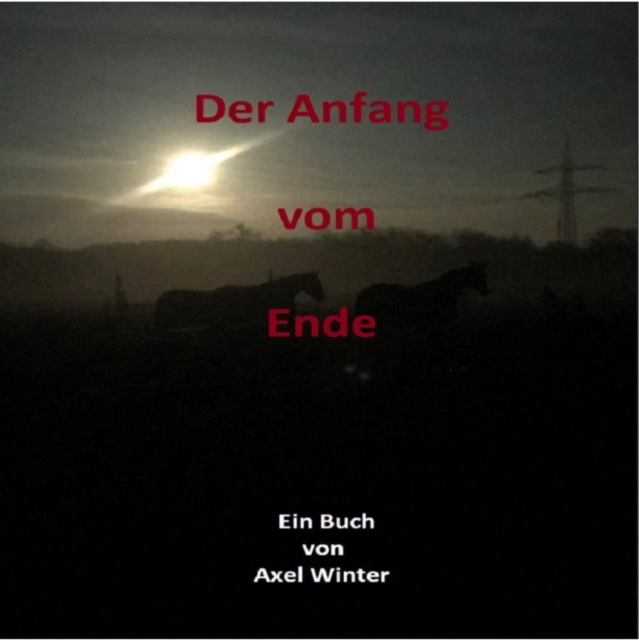 Der Anfang vom Ende