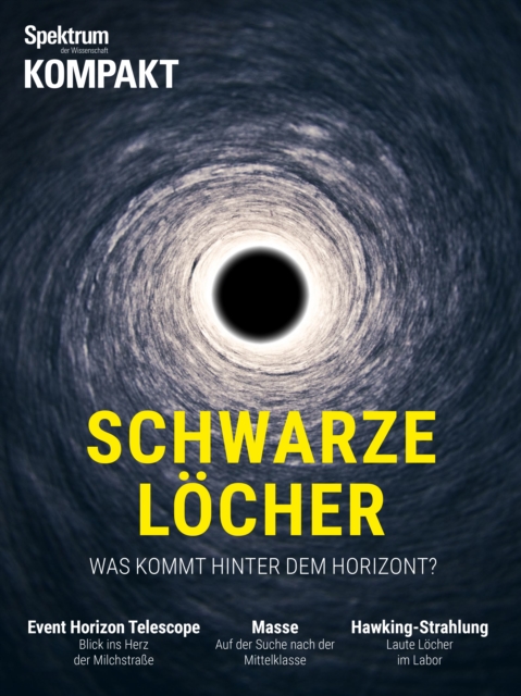 Gehirn&Geist 12/2017 - Das kreative Gehirn