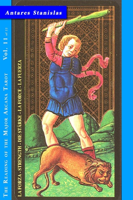 Strength - Vol.11 of 22