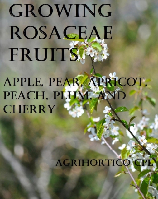 Growing Rosaceae Fruits Apple, Pear, Apricot, Peach, Plum, and Cherry