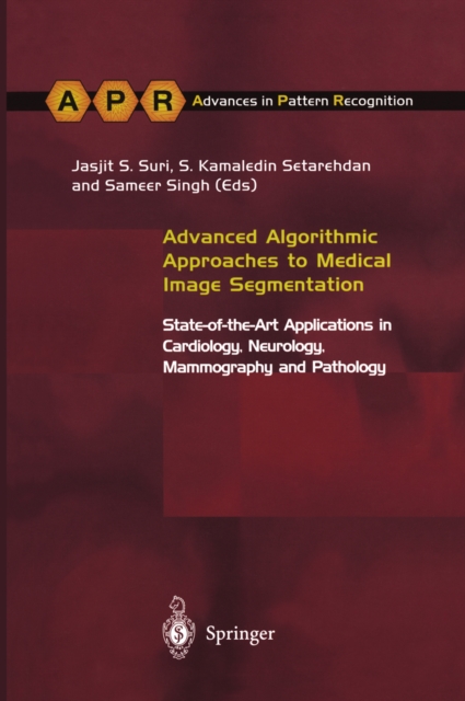 Advanced Algorithmic Approaches to Medical Image Segmentation