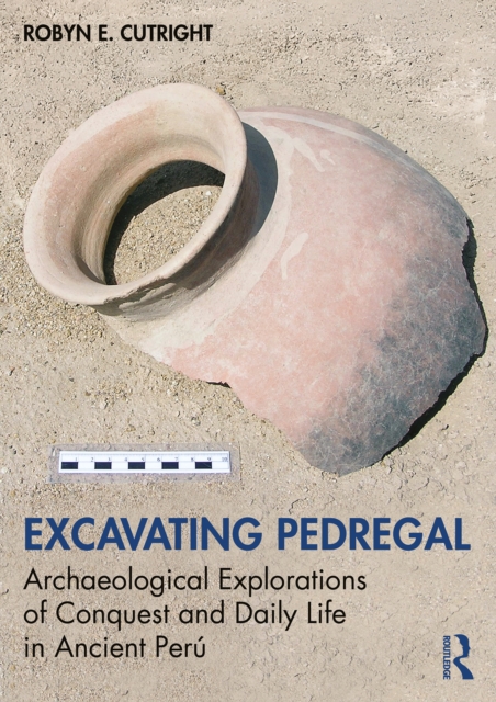 Excavating Pedregal
