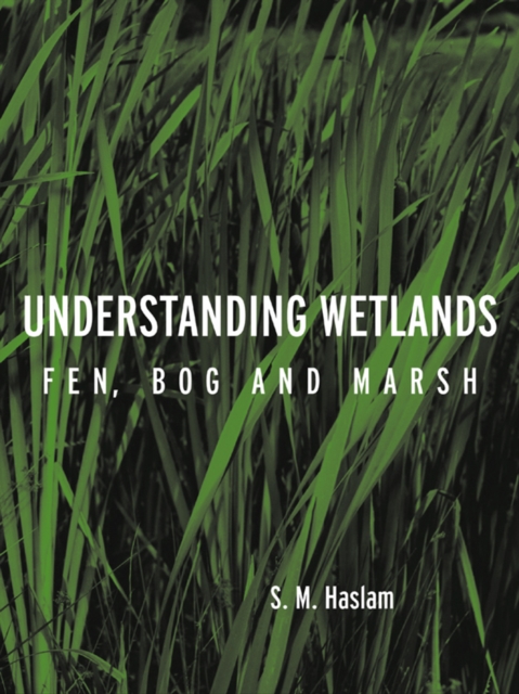 Understanding Wetlands