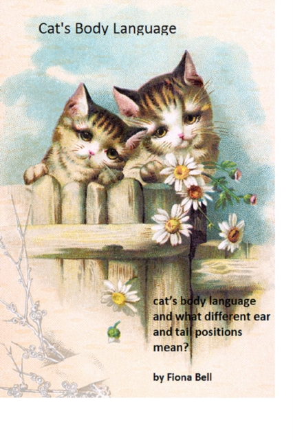 Cat's Body Language