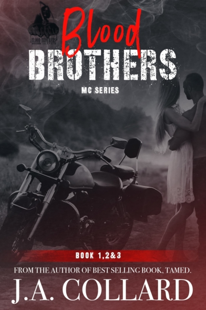 Blood Brothers MC Box Set