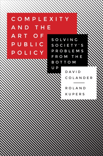 Complexity and the Art of Public Policy