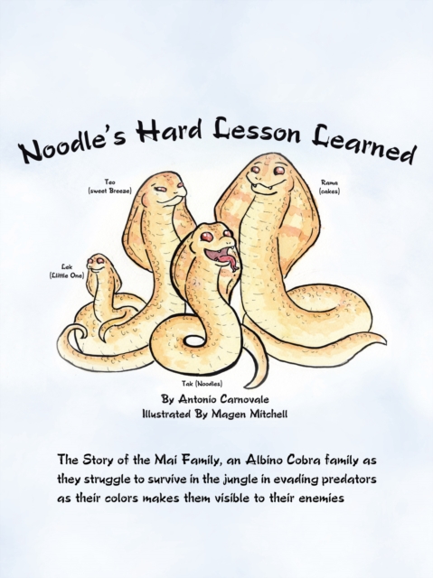 Noodle's Hard Lesson Learned