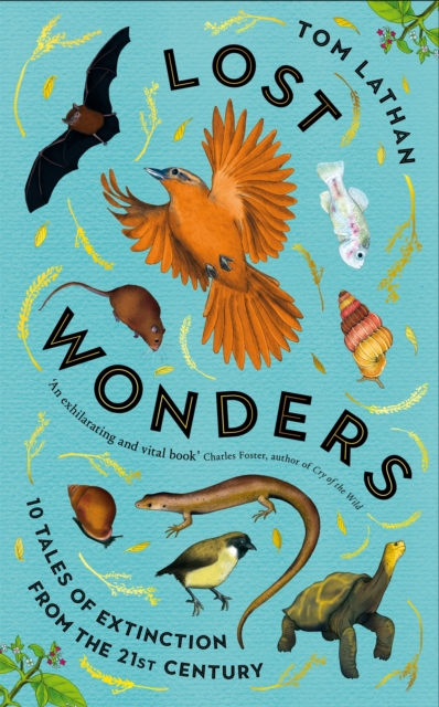 Lost Wonders