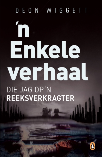 ’n Enkele verhaal