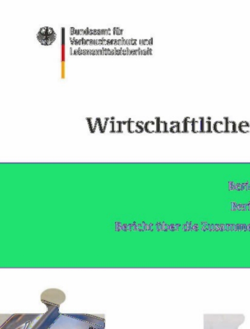 Berichte zum Wirtschaftlichen Verbraucherschutz 2009/2010