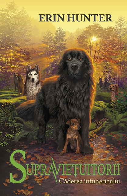 Supravietuițorii. Cartea a III-a - Căderea întunericului