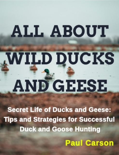 ALL  ABOUT WILD DUCKS  AND GEESE: Secret Life of Ducks and Geese: Tips and Strategies for Successful Duck and Goose Hunting
