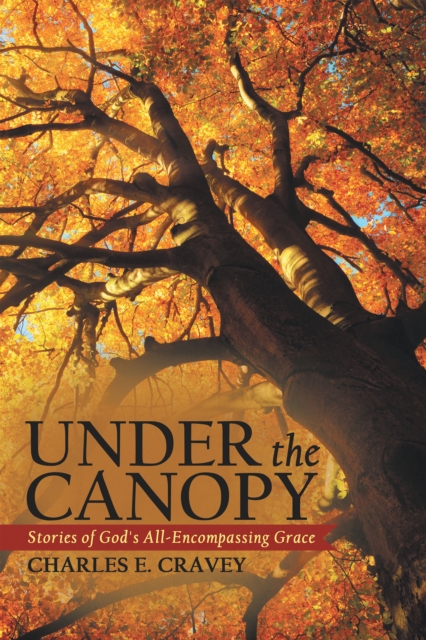 Under the Canopy