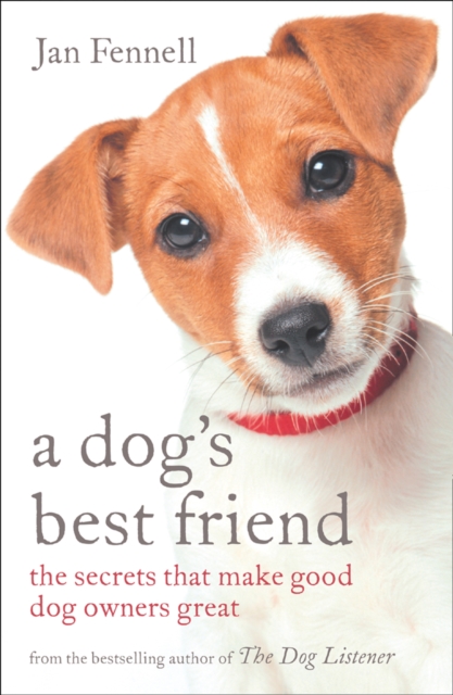 Dog's Best Friend