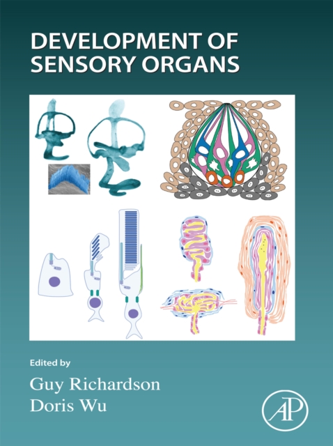 Development of Sensory Organs