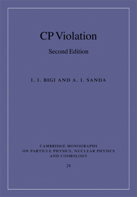 CP Violation