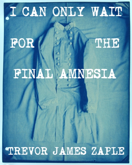 I Can Only Wait For The Final Amnesia
