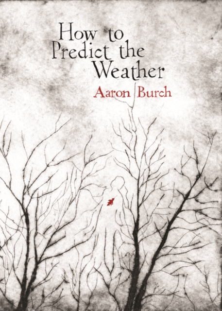 How to Predict the Weather
