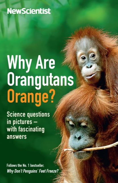Why Are Orangutans Orange?