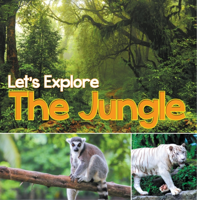 Let's Explore the Jungle