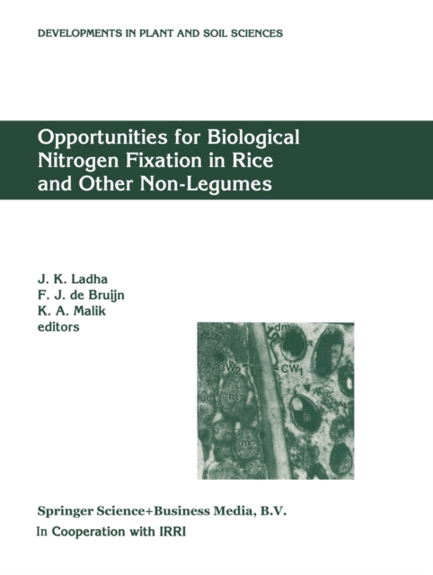 Opportunities for Biological Nitrogen Fixation in Rice and Other Non-Legumes