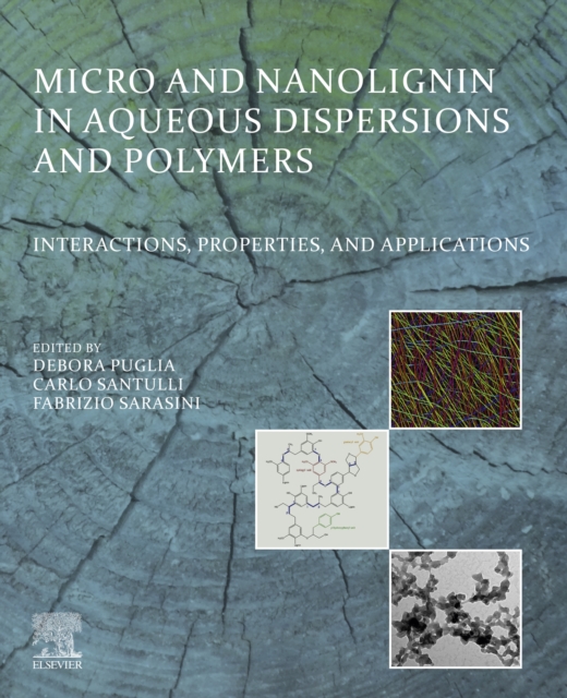 Micro and Nanolignin in Aqueous Dispersions and Polymers