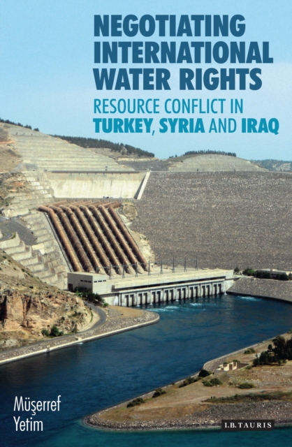Negotiating International Water Rights