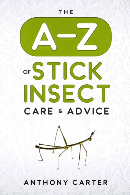 A-Z of Stick Insect Care & Advice