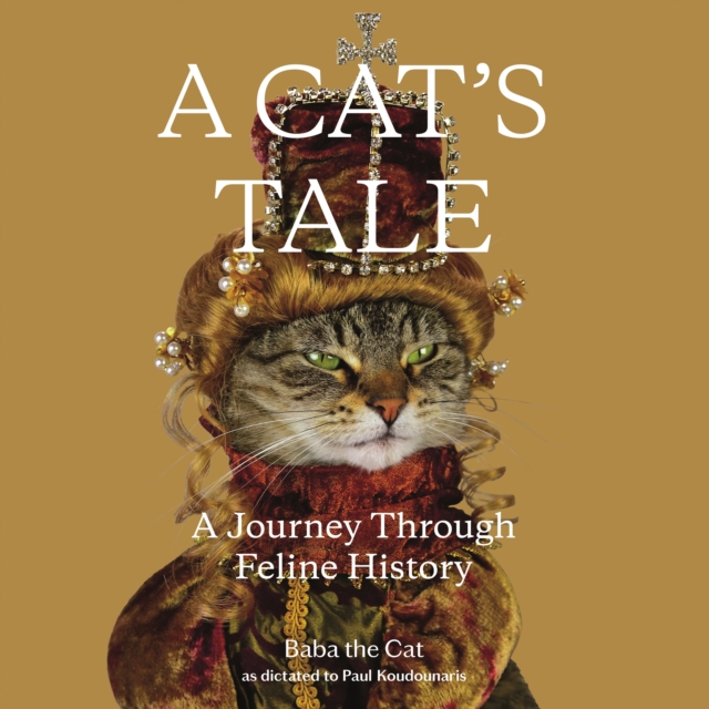 Cat's Tale