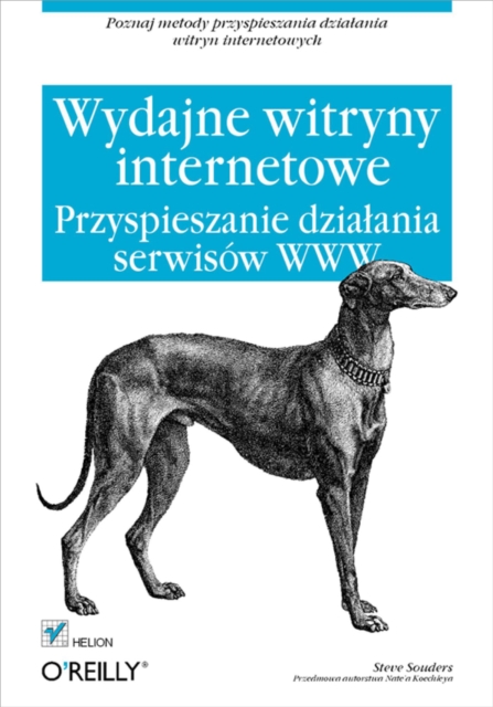 Wydajne witryny internetowe. Przyspieszanie dzia?ania serwisów WWW