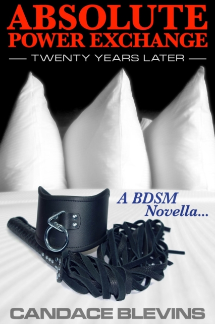 Absolute Power Exchange: Twenty Years Later