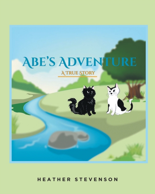 Abe's Adventure