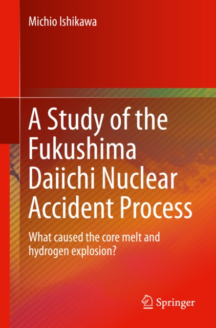 Study of the Fukushima Daiichi Nuclear Accident Process