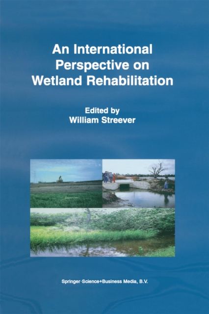 International Perspective on Wetland Rehabilitation