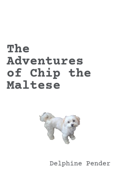 Adventures of Chip the Maltese