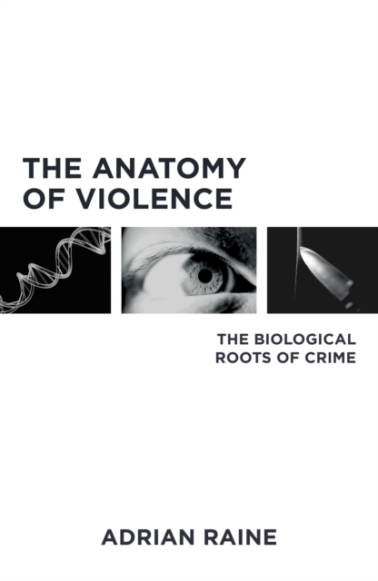 Anatomy of Violence