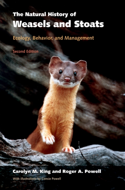 Natural History of Weasels and Stoats