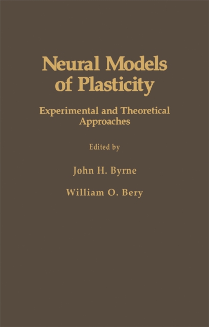Neural Models of Plasticity