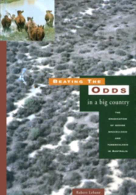 Beating the Odds in a Big Country