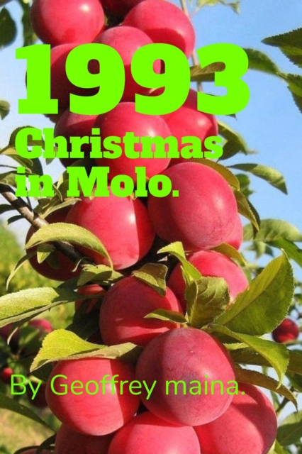 1993 Christmas in Molo.