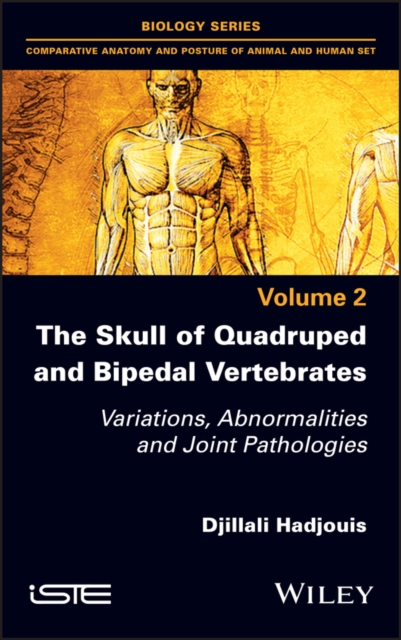 Skull of Quadruped and Bipedal Vertebrates